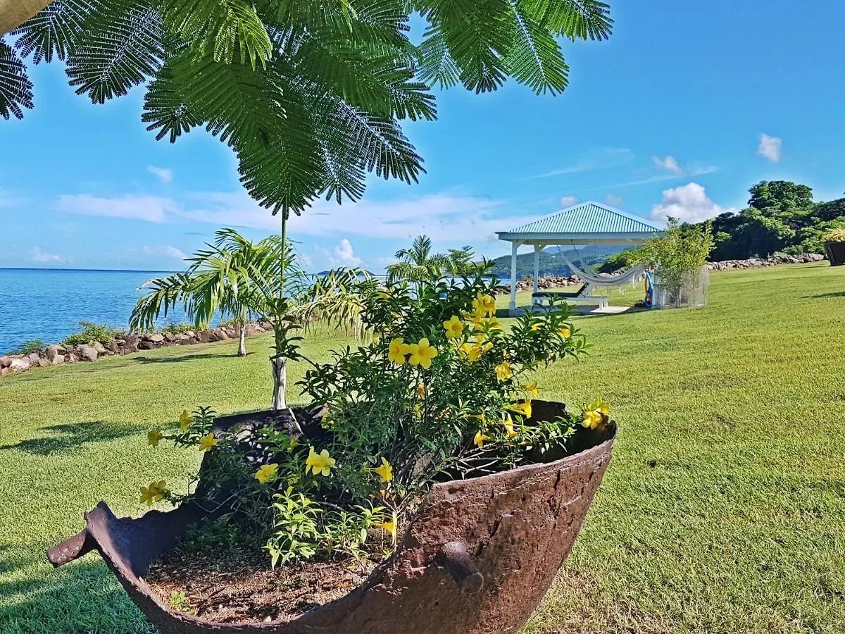 Blue Haven Villas Guadeloupe Villa Blue Star Bouillante