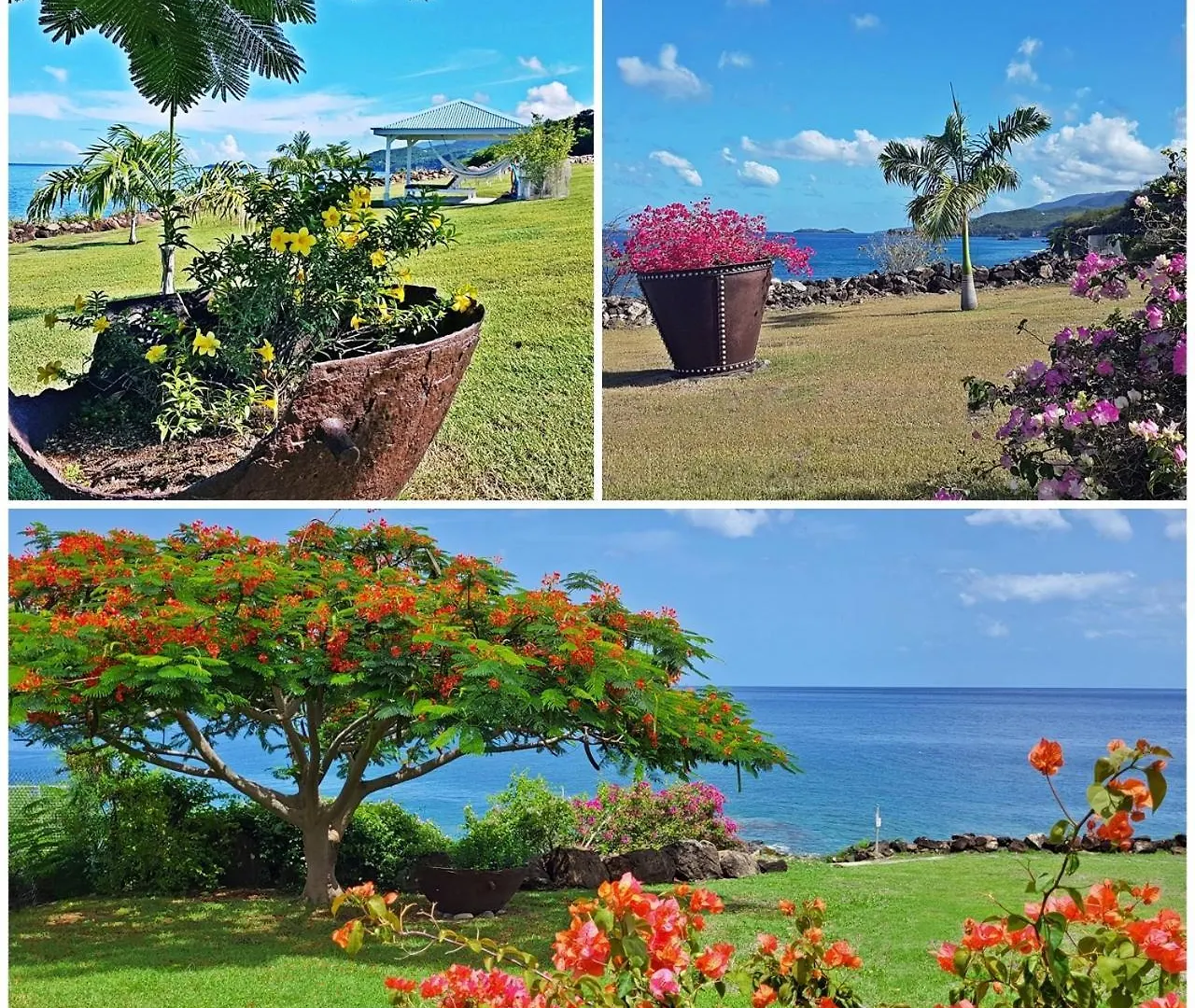 Blue Haven Villas Guadeloupe Villa Blue Star Bouillante