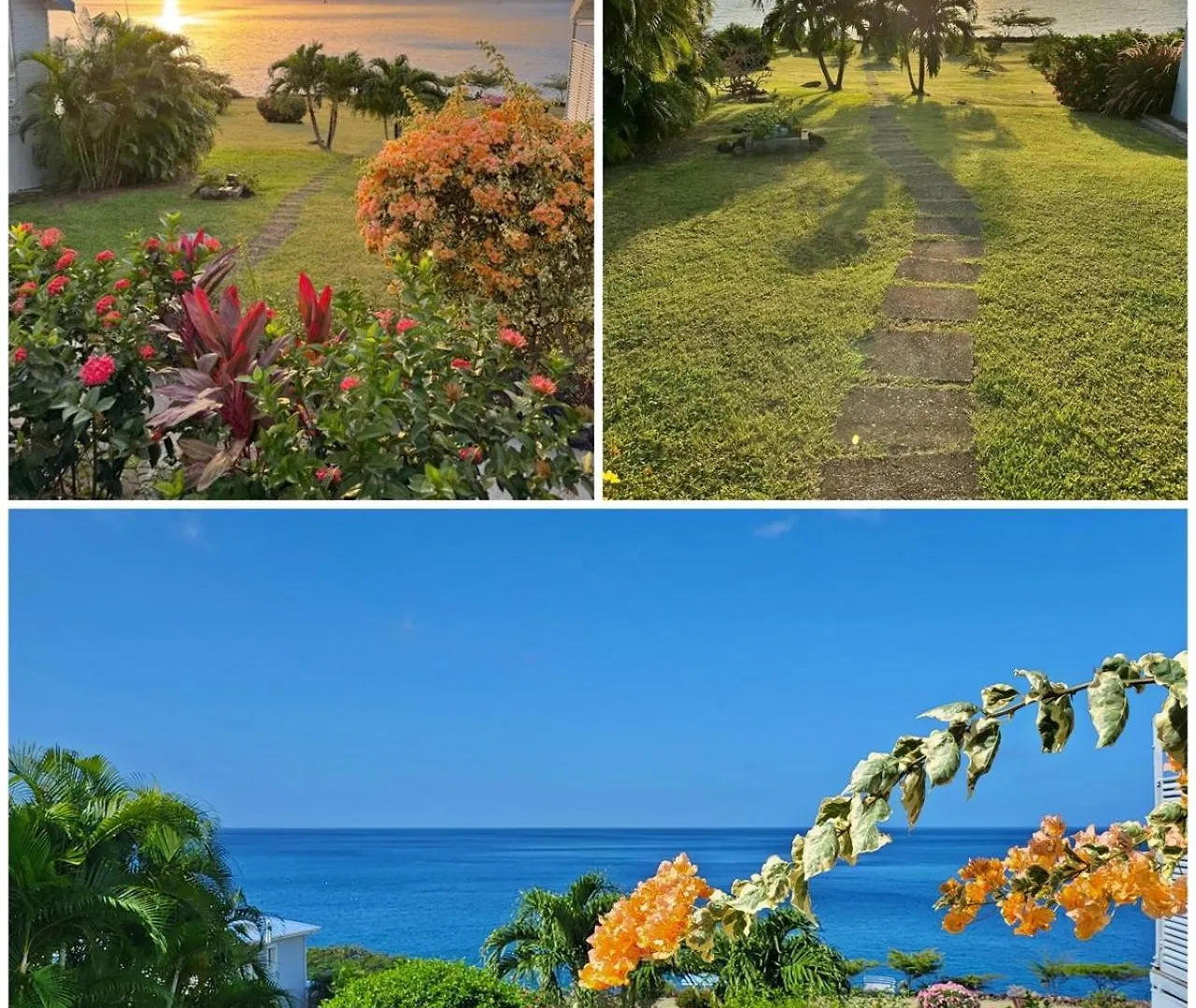 Blue Haven Villas Guadeloupe Villa Blue Star Bouillante 0*,