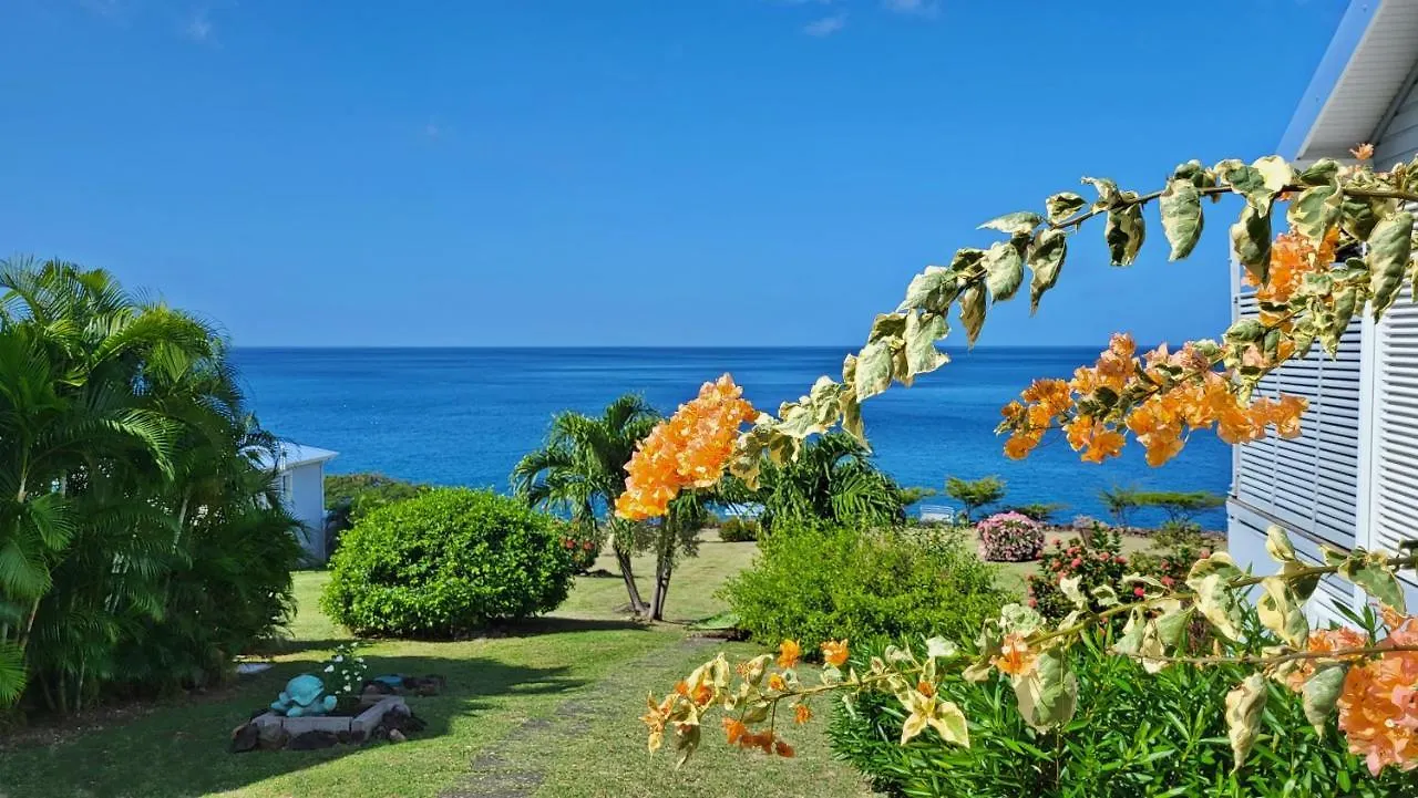 בוויאנט Blue Haven Villas Guadeloupe Villa Blue Star