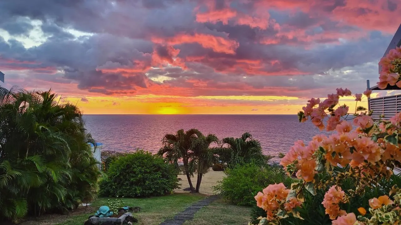 בוויאנט Blue Haven Villas Guadeloupe Villa Blue Star גוואדלופ
