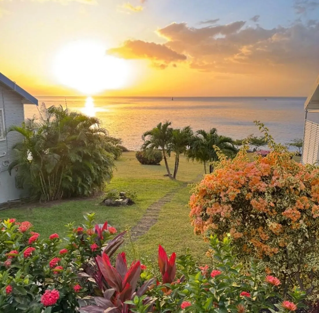 בוויאנט Blue Haven Villas Guadeloupe Villa Blue Star
